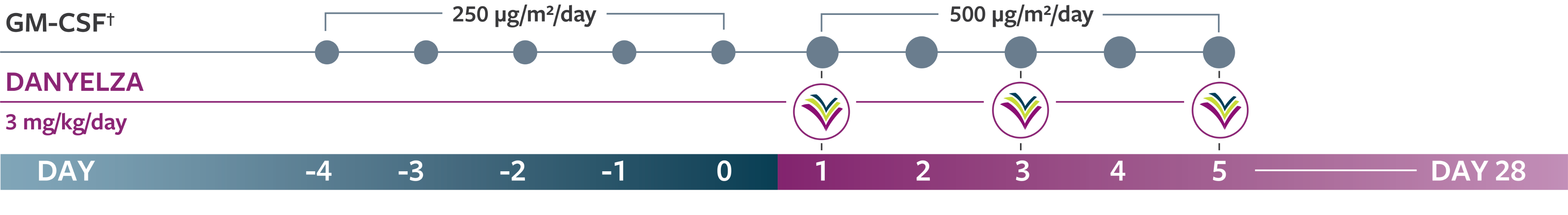 Timeline graphic showing GM-CSF administraNon from day -4 to 5, with
DANYELZA administraNon on Days 1, 3, and 5